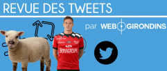 Revue des tweets : Quand un mouton s'entraîne à la tête...