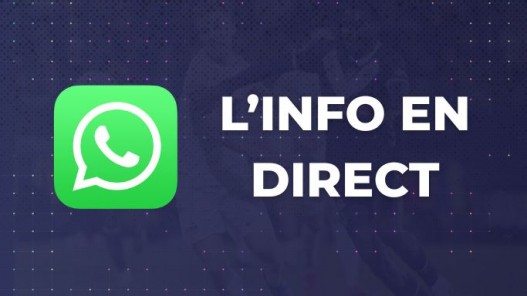 Girondins : déjà près de 3 000 supporters suivent la chaîne WhatsApp de WebGirondins