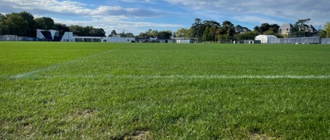 Entraînement des Girondins ouvert au public ce matin à 10h30