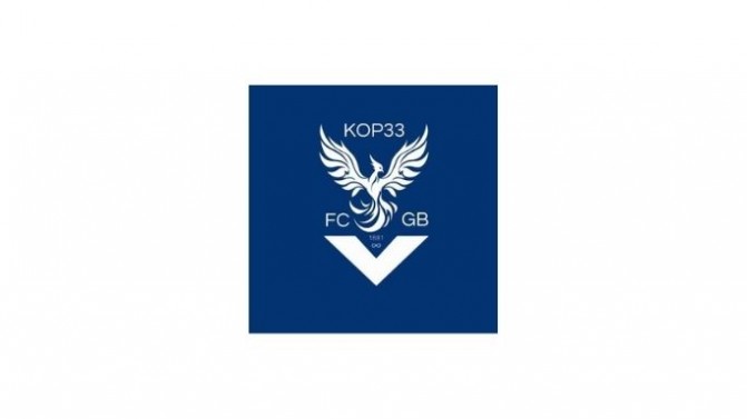 Girondins. Saïd (Kop33) : “Nous avons plus de 235 adhérents”