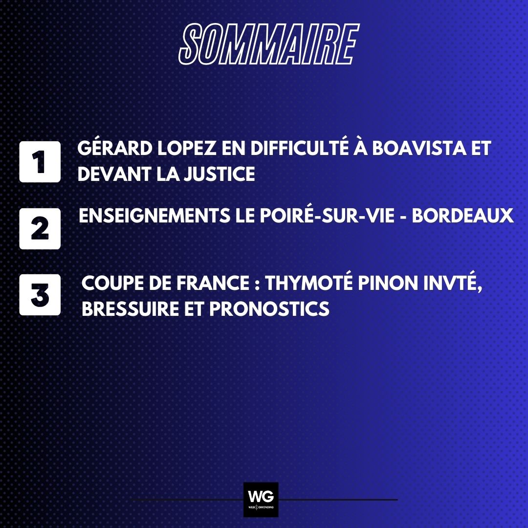 INFOGRAPHIES ÉMISSIONS (33).jpg (159 KB)