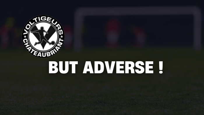 but adversaire_20250829_103141_0000.png (199 KB)