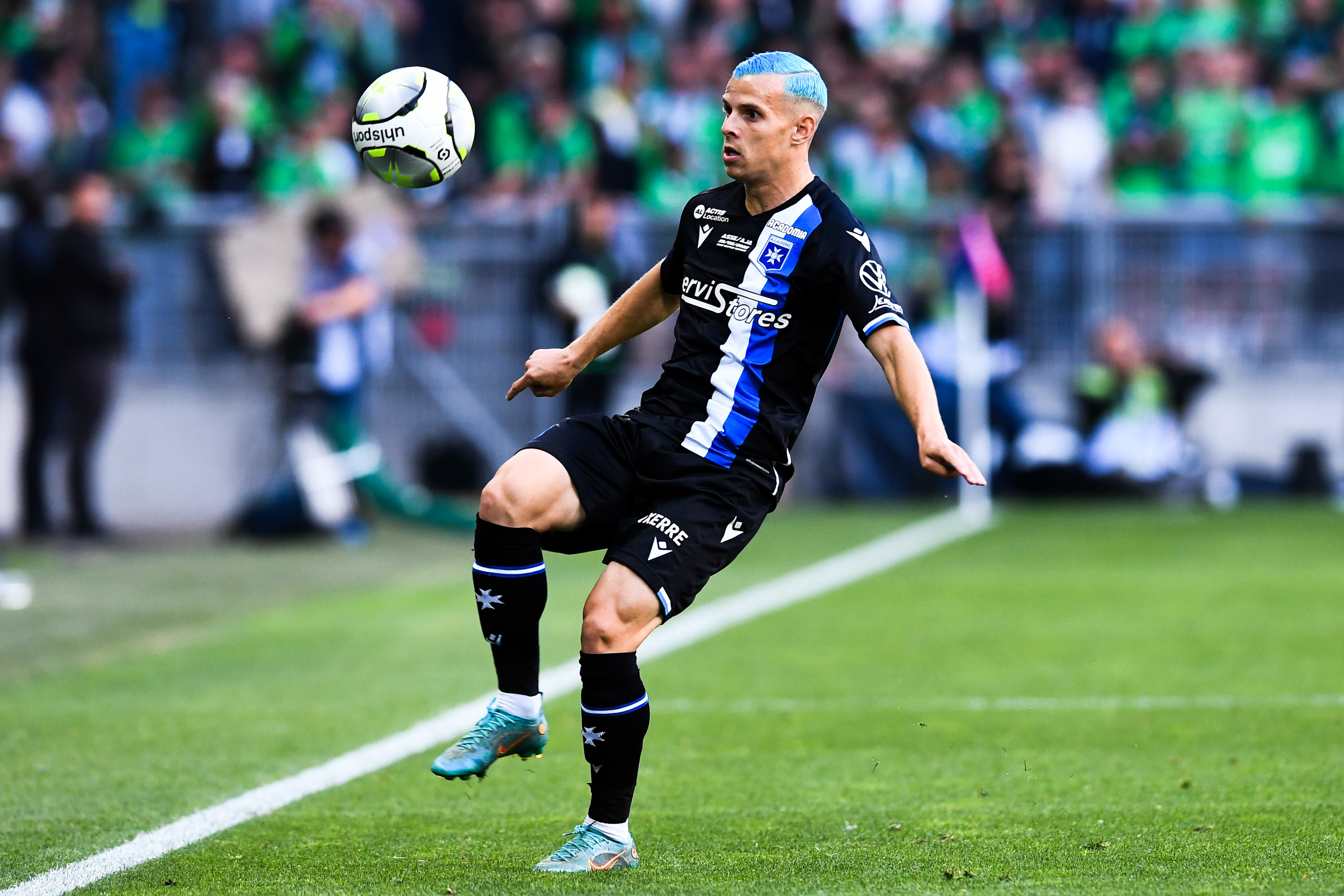 Icon_PL5_9618-1.jpg (1.42 MB)