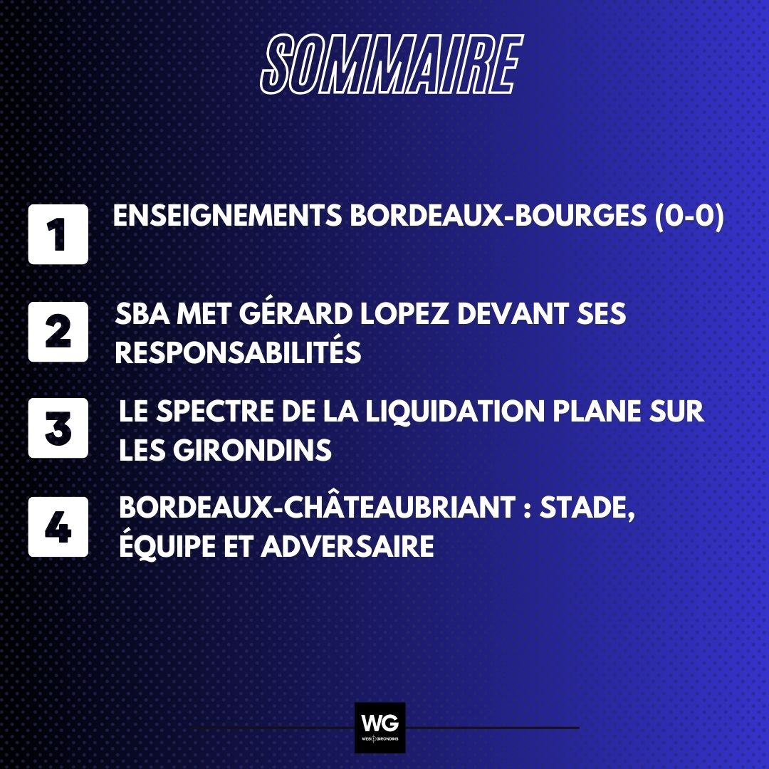 INFOGRAPHIES ÉMISSIONS (23).jpg (168 KB)